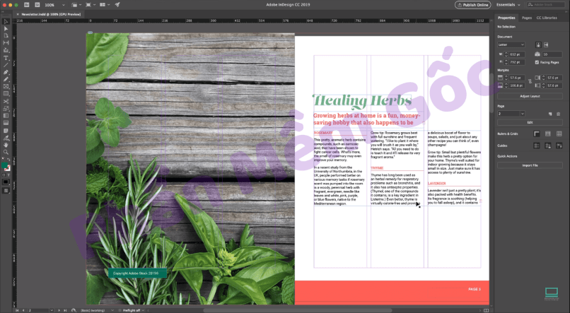 giao diện adobe indesign cc 2019