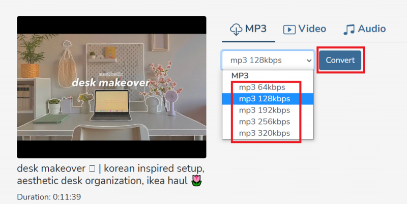 how to convert Youtube to MP3 using 320YTmp3_step 2