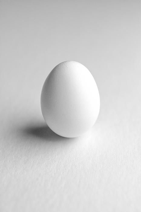 Hình nền trắng đẹp với quả trứng