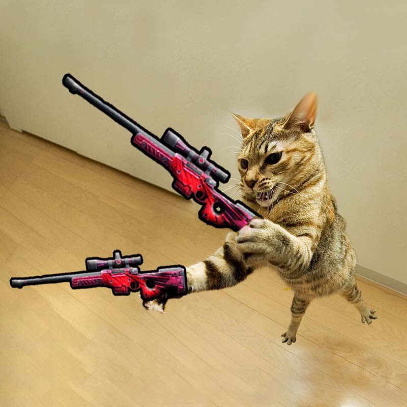 Ảnh chế mèo cầm súng cực ngầu