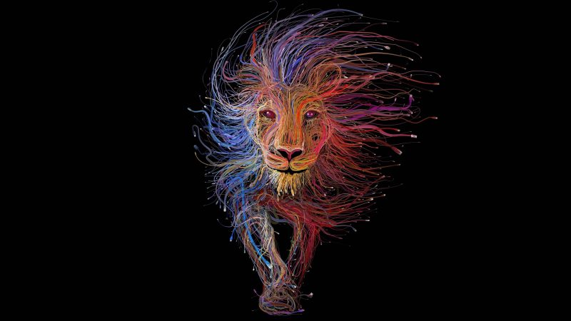 Hình nền laptop cung sư tử