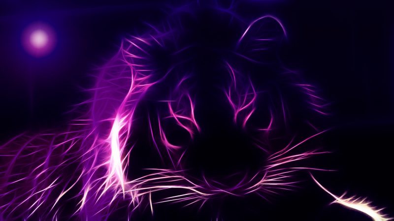 Hình nền màu tím cute hình sư tử
