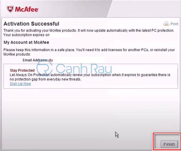 Phần mềm diệt virus Mcafee là gì hình 8