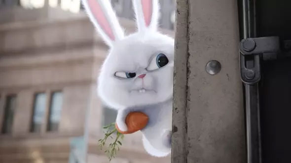 Hình nền thỏ cute, hình thỏ hoạt hình 