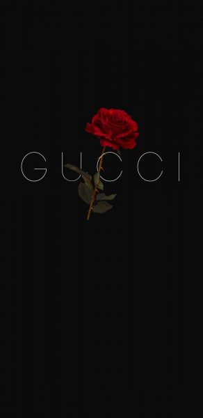 Ảnh Gucci nền đen đẹp tuyệt